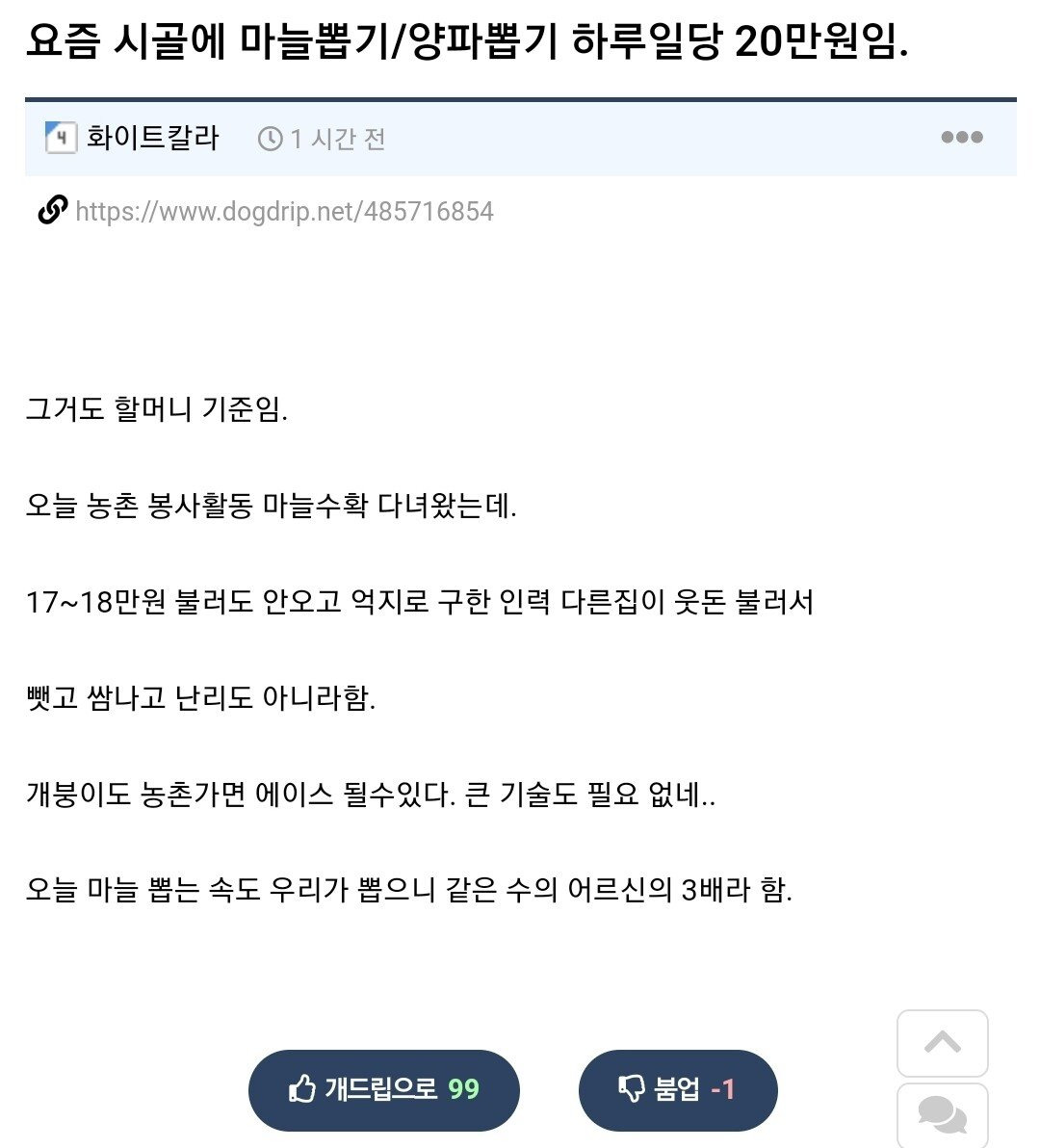 시골에 마늘뽑기 양파뽑기 하루일당 | 인스티즈