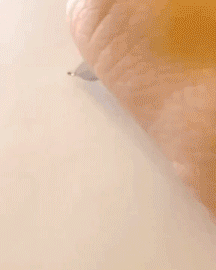 중국 고대 한자.gif | 인스티즈