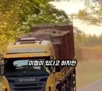 브라질의 독특한 트럭 문화.jpg | 인스티즈