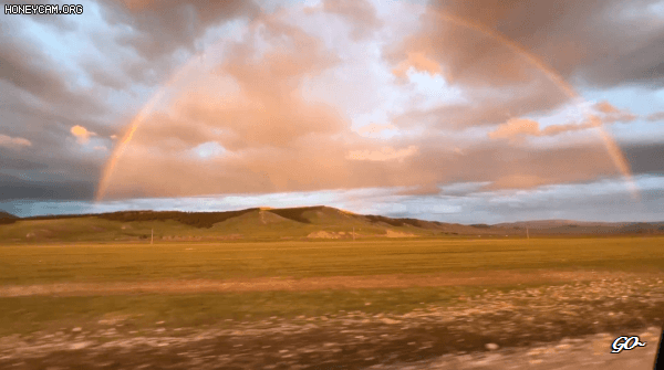 25년 전 다큐멘터리 보고 무작정 스리랑카 집시 찾아간 유튜버 | 인스티즈