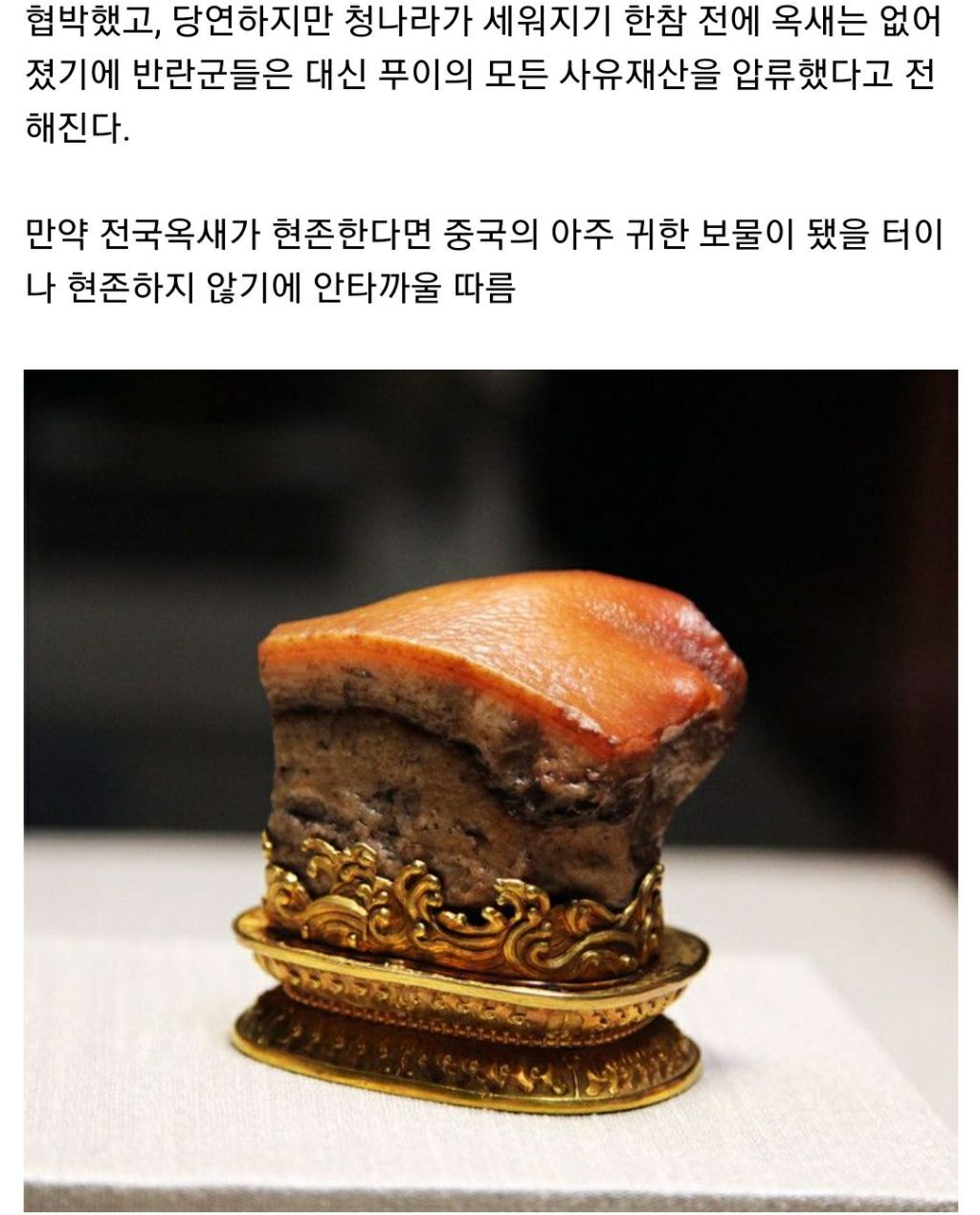 Daum 카페