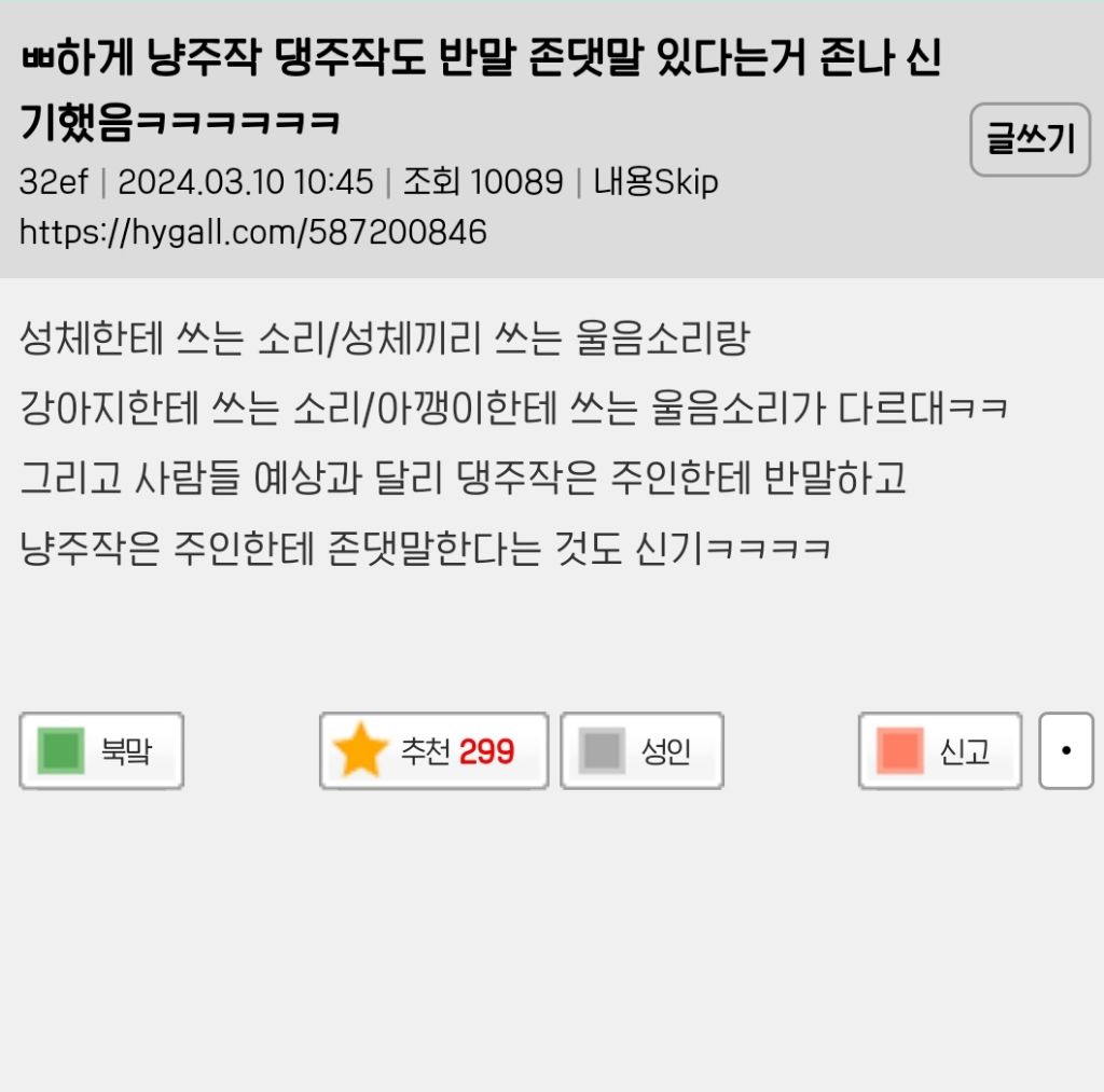 강아지는 주인한테 반말하고 고양이는 의외로 높임말 씀 | 인스티즈