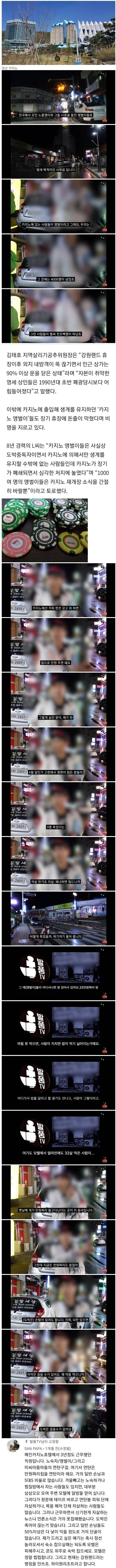 강원랜드 앵벌이들.jpg - 엽기사진실 - 이종격투기