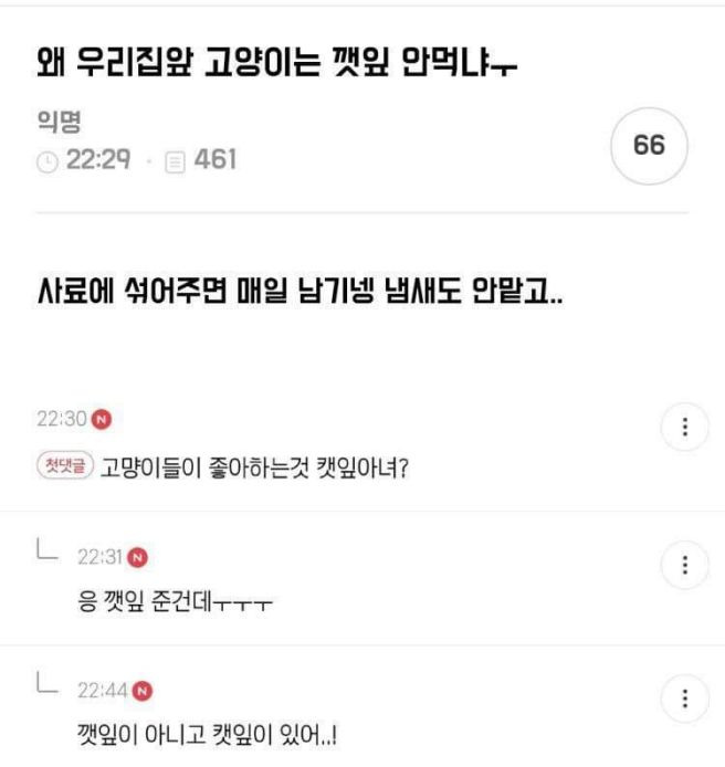 안녕하세요 육십이 훌쩍 넘은 늙은이입니다 | 인스티즈