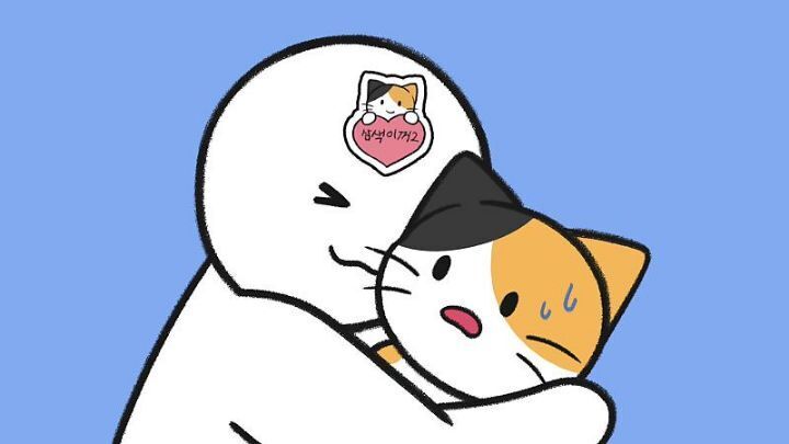 고양이가 집사에게 엉덩이를 들이미는 이유 5가지 | 인스티즈