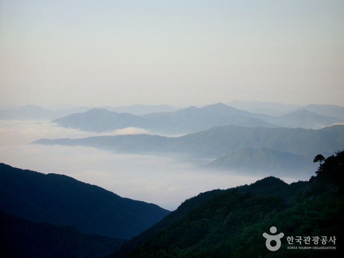 지리산을 보면서 삼겹살 | 인스티즈