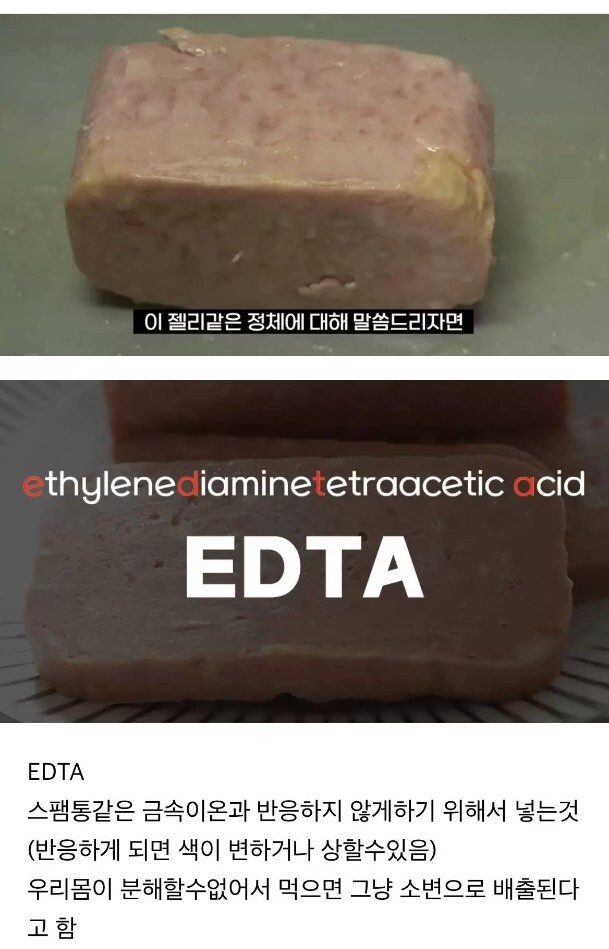 지금,돼지 이미지