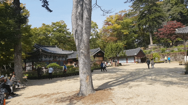 75541e9af87ae19d9150af69f5f0c1fa614a8bbc