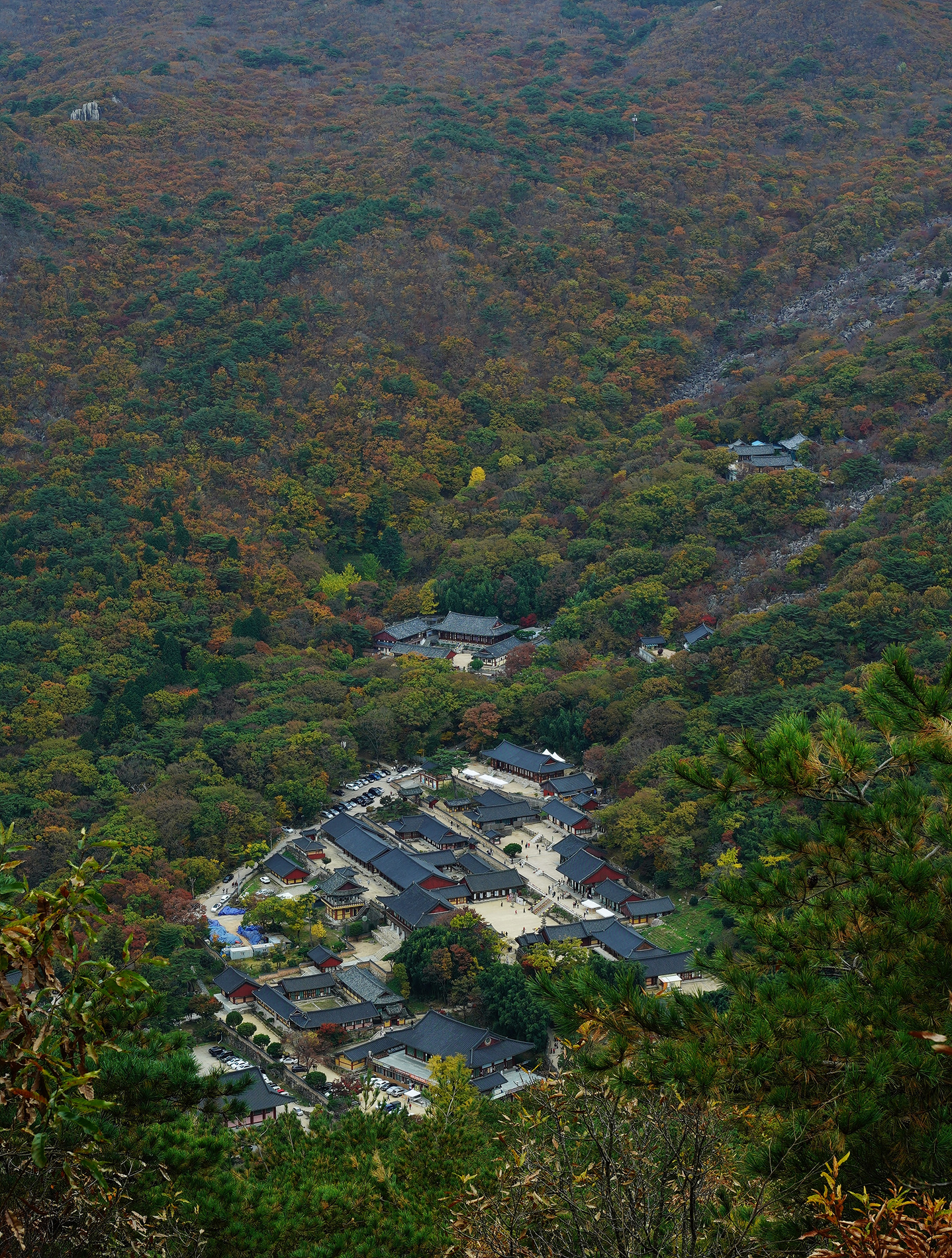 76ae7a65e1eac85b23b5aa667c8432737bd592b3