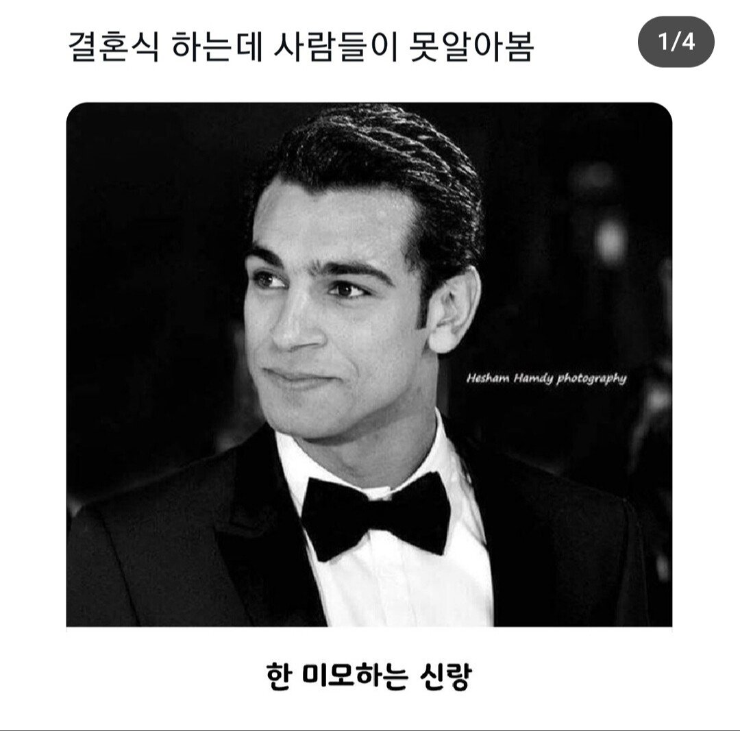 daum