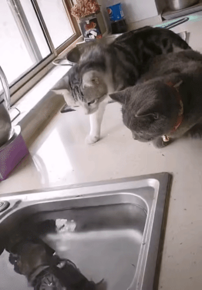 안녕하세요 육십이 훌쩍 넘은 늙은이입니다 | 인스티즈