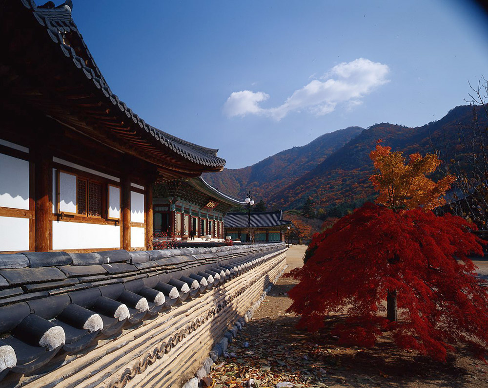 운문사 전경 2