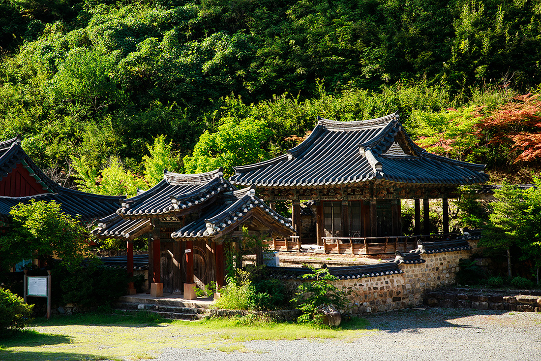 79e3d3d66a3dbe9d67598c16086532e2b454213a