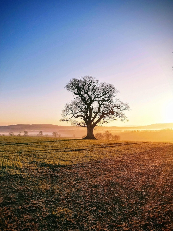 7년동안 50편 이상 단역으로 출연하다가 작년에 주연된 배우.jpg | 인스티즈
