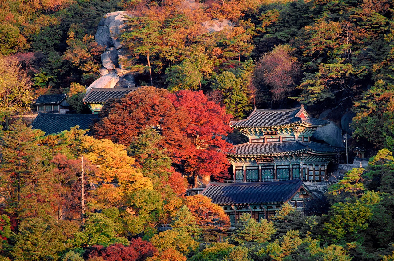 7a894e57636fcb4be29c83e9f15a6b3fedc67701