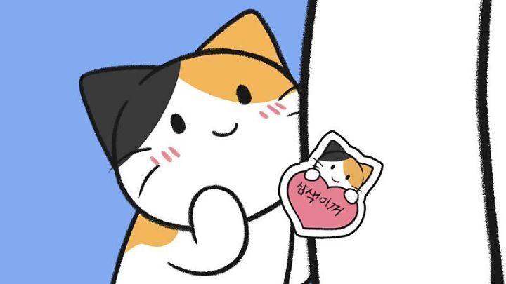 고양이가 집사에게 엉덩이를 들이미는 이유 5가지 | 인스티즈