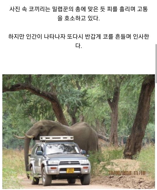 안녕머리야 이미지