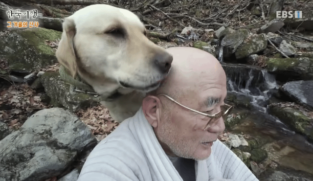 스님 머리 핥던 개 보리 근황 | 인스티즈