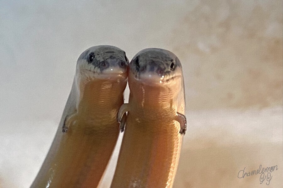 리고 이미지