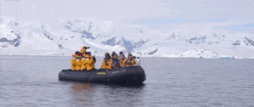 펭귄 다큐가 인기있는 이유 | 인스티즈