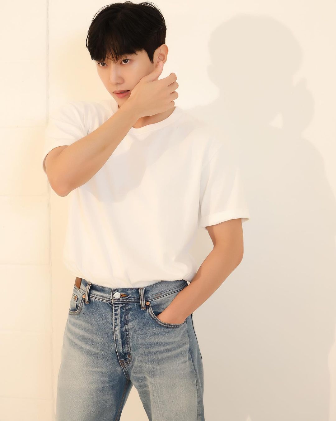 진영 이미지