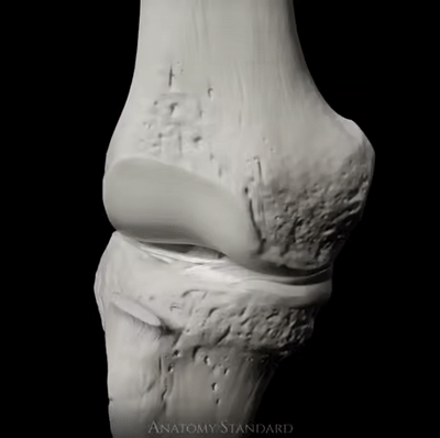 무릎이 움직이는 모습 | 인스티즈