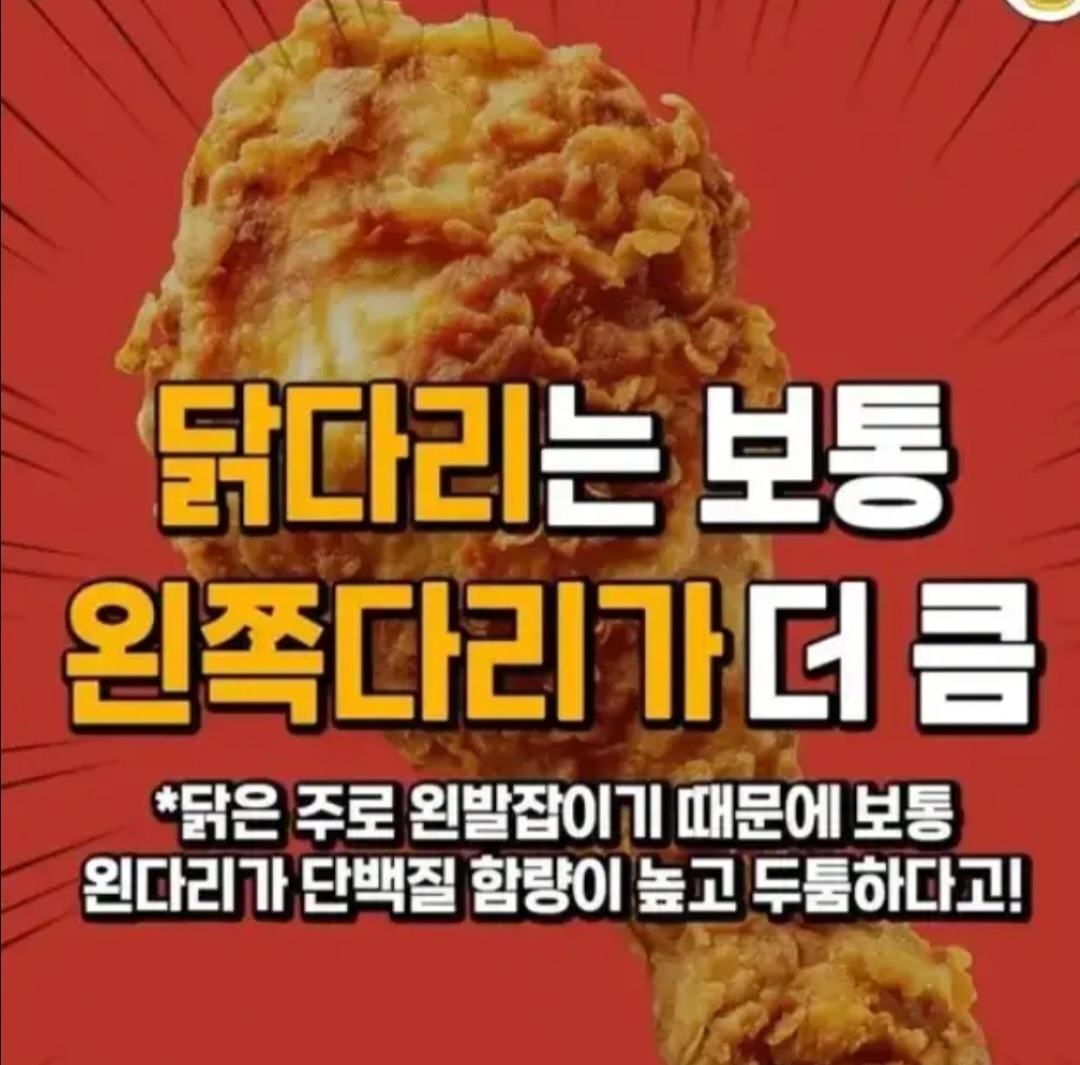 거짓말 같은 의외의 사실들 | 인스티즈