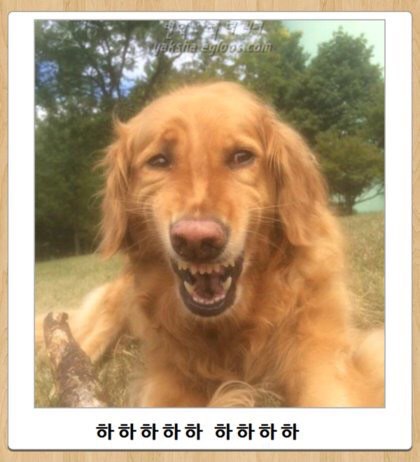 수아이 이미지