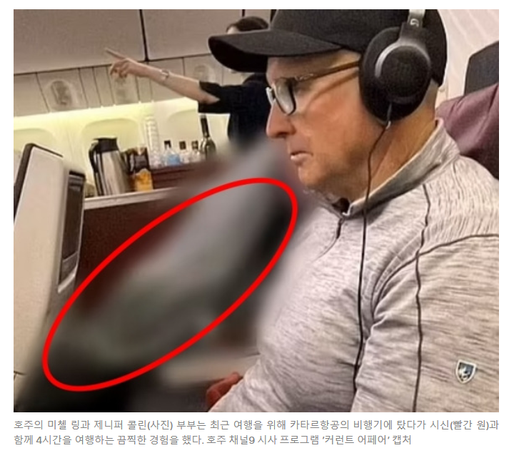 "옆자리에 '죽은 사람'이 앉았어요”…4시간 함께 비행기 탄 탑승객 사연 | 인스티즈