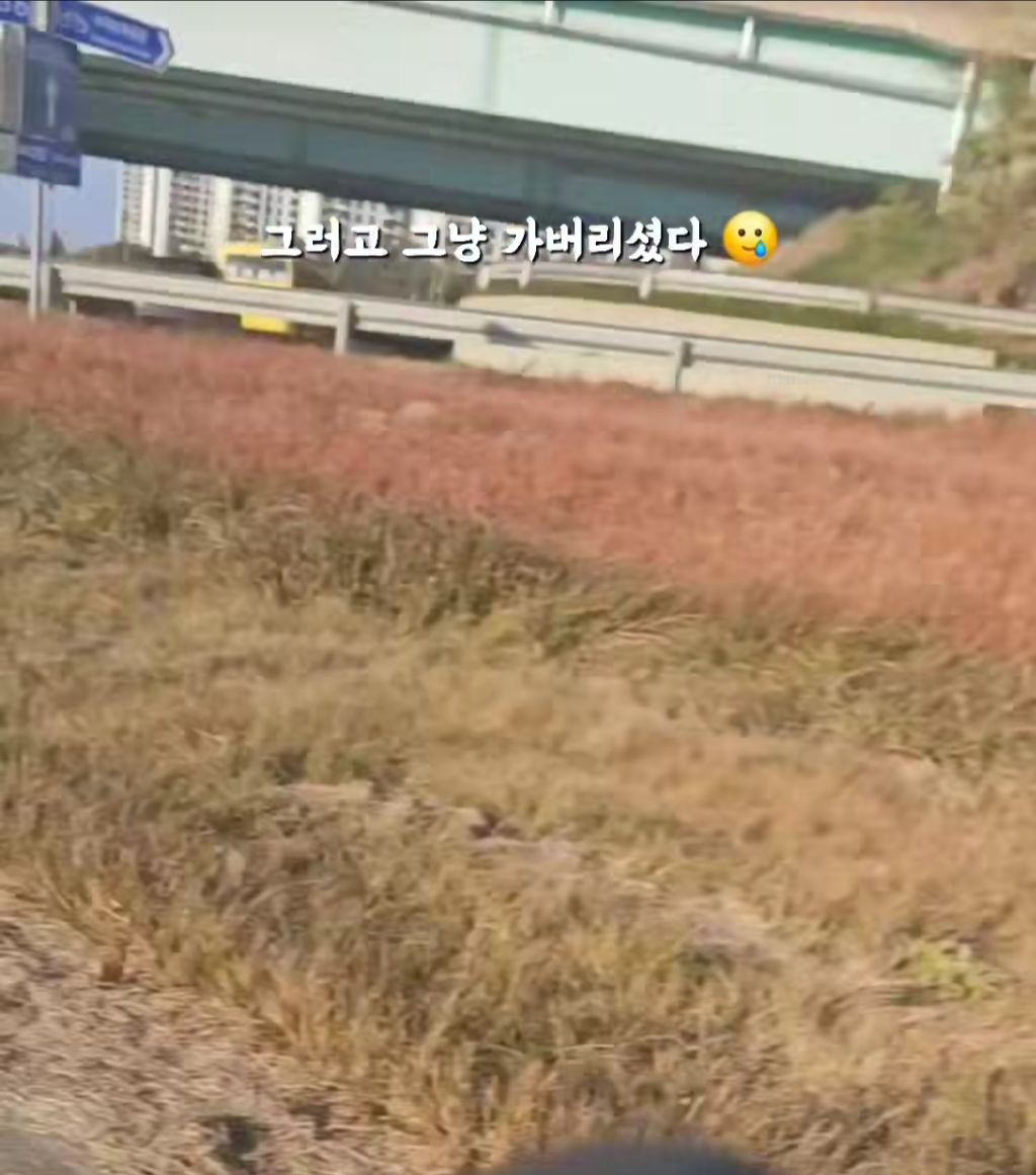 얘 믹스에요? 얘가 먹던거에요? | 인스티즈