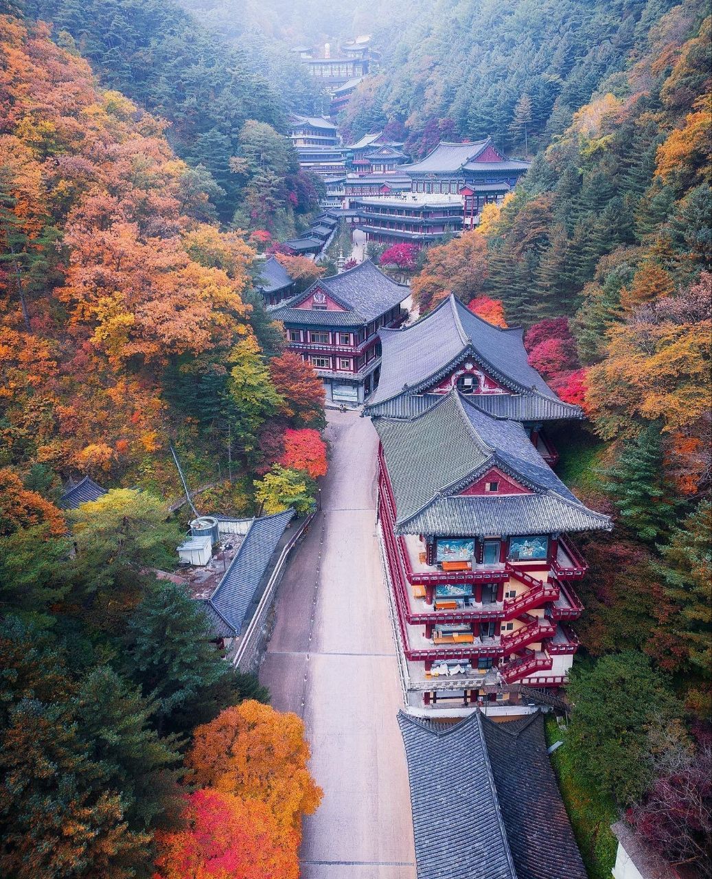 8790aaf74ad257a6d0861a83fb87a1ff391152cb