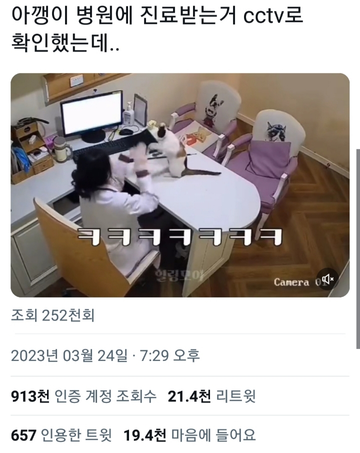 진료중 사심 채우는 수의사 | 인스티즈