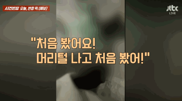 "5초만 만져보자" KTX 여승무원·여승객 울린 막말 노인 | 인스티즈