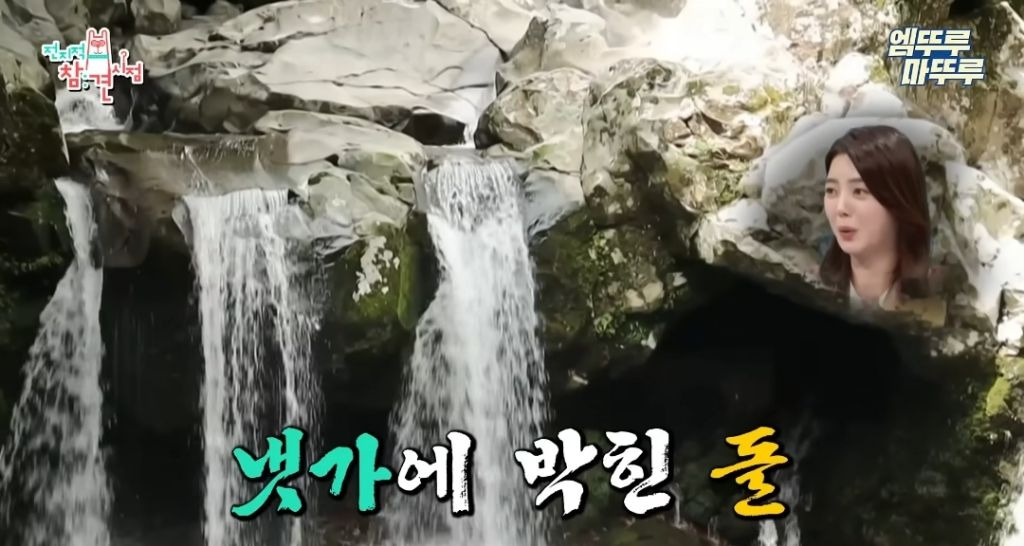 찐 ISFP라는 엄현경의 귀찮음 수준 | 인스티즈