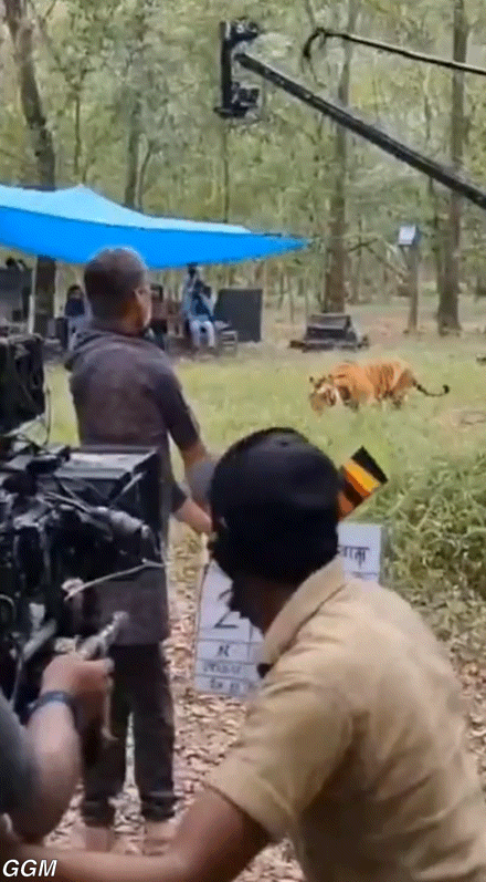 내셔널 지오그래픽 촬영 현장.gif | 인스티즈