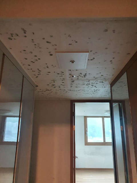 보배드림 역대급 아파트 하자 | 인스티즈