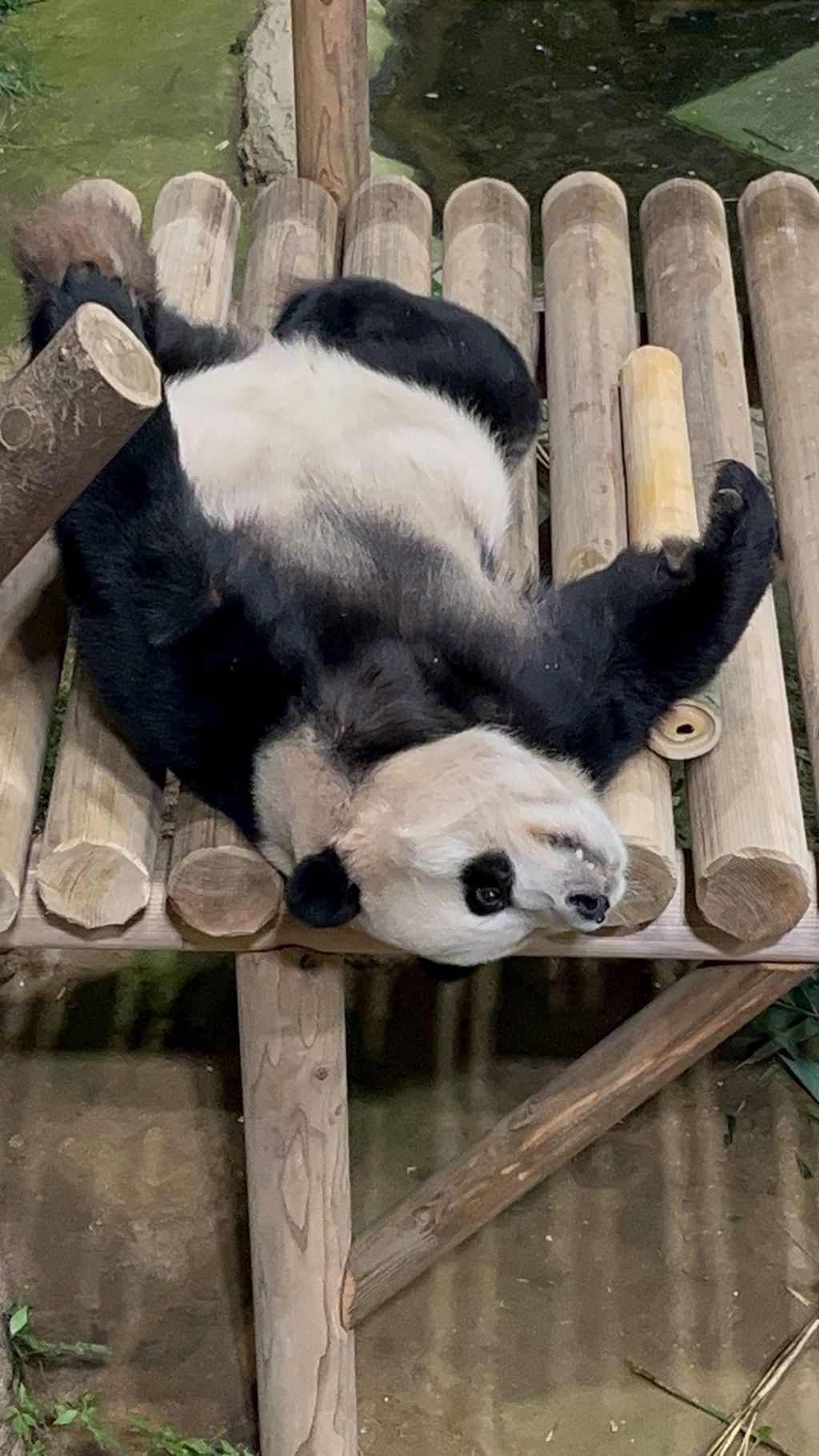 한량 이미지