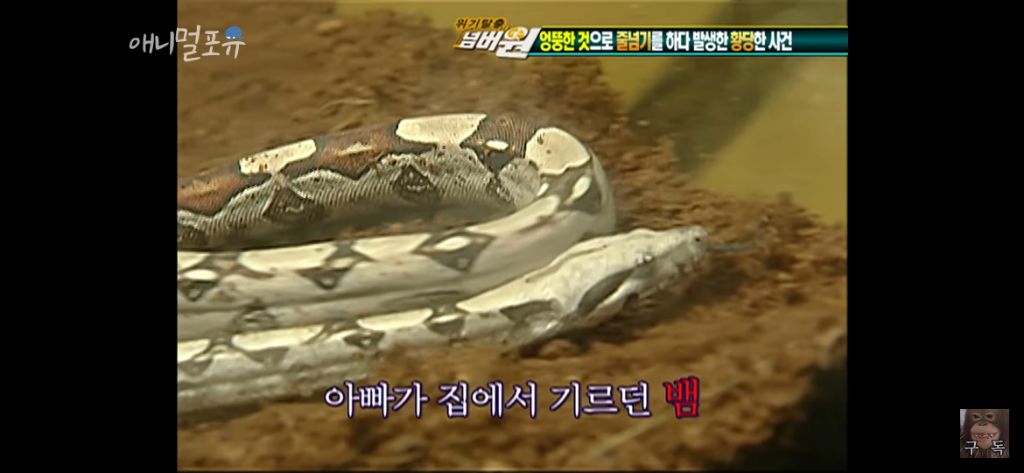 이승탈출 넘버원 황당죽음 5선 | 인스티즈