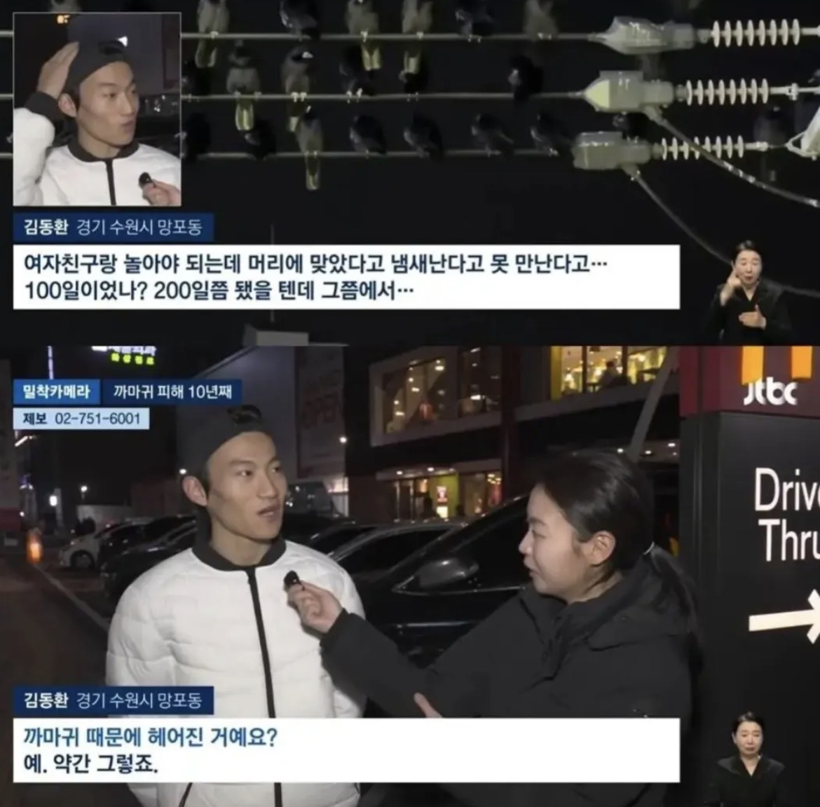 수원 까마귀떼 최대 피해자 - 엽기사진실 - 이종격투기