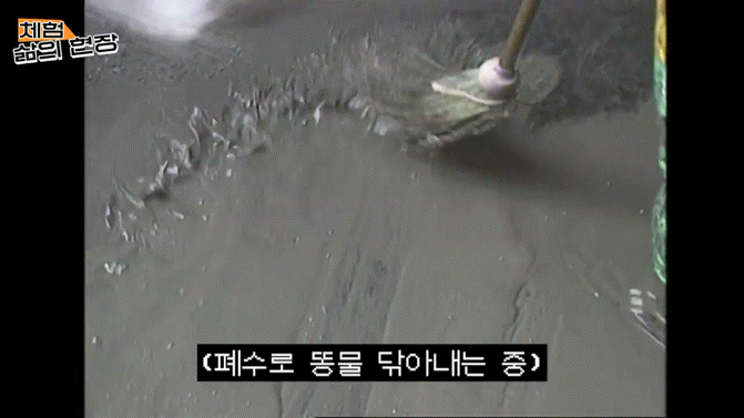 924ca0f0d70cf6b3aac7f7d3f5d9e6260f156141