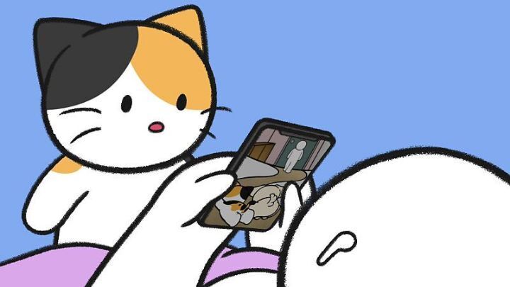 고양이가 집사에게 엉덩이를 들이미는 이유 5가지 | 인스티즈