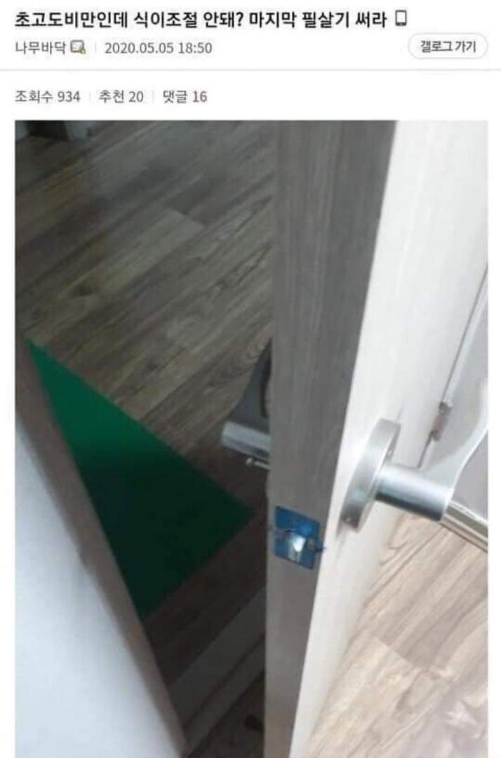 다이어트가 힘든 사람들을 위한 다이어트 꿀팁 공개.JPG | 인스티즈