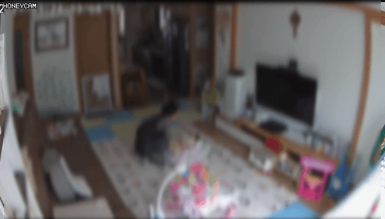 보배드림에서 난리난 생후 20일 신생아 학대하는 정부지원 산후 도우미 (cctv) | 인스티즈