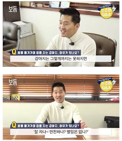 강아 자리를 옮겨가며 자는 이유는? | 인스티즈