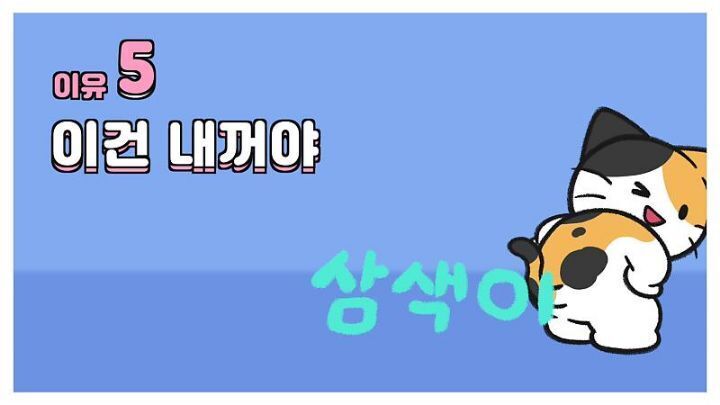 고양이가 집사에게 엉덩이를 들이미는 이유 5가지 | 인스티즈