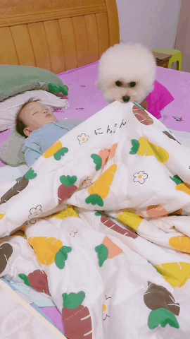 아기에게 뽀뽀해주고 이불 덮어주는 댕댕이 | 인스티즈