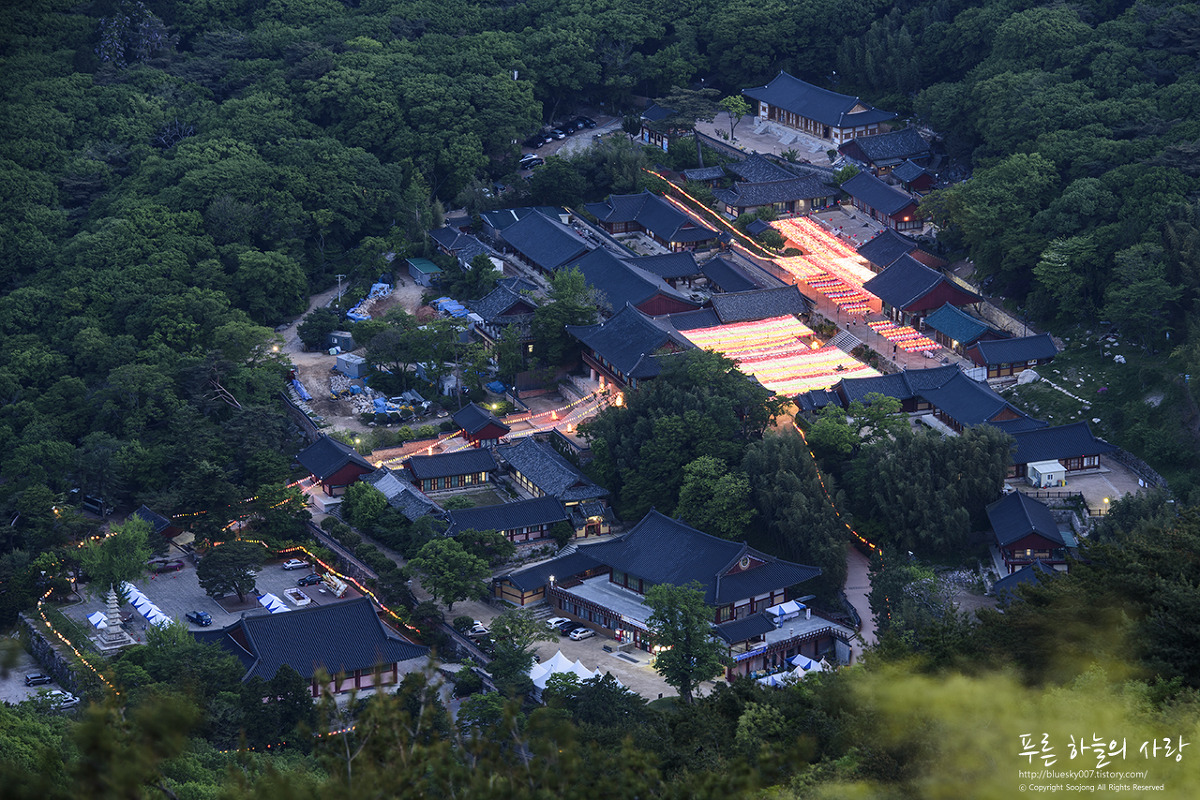 9491b3eafb6befff1359e33a014aad37898728cb