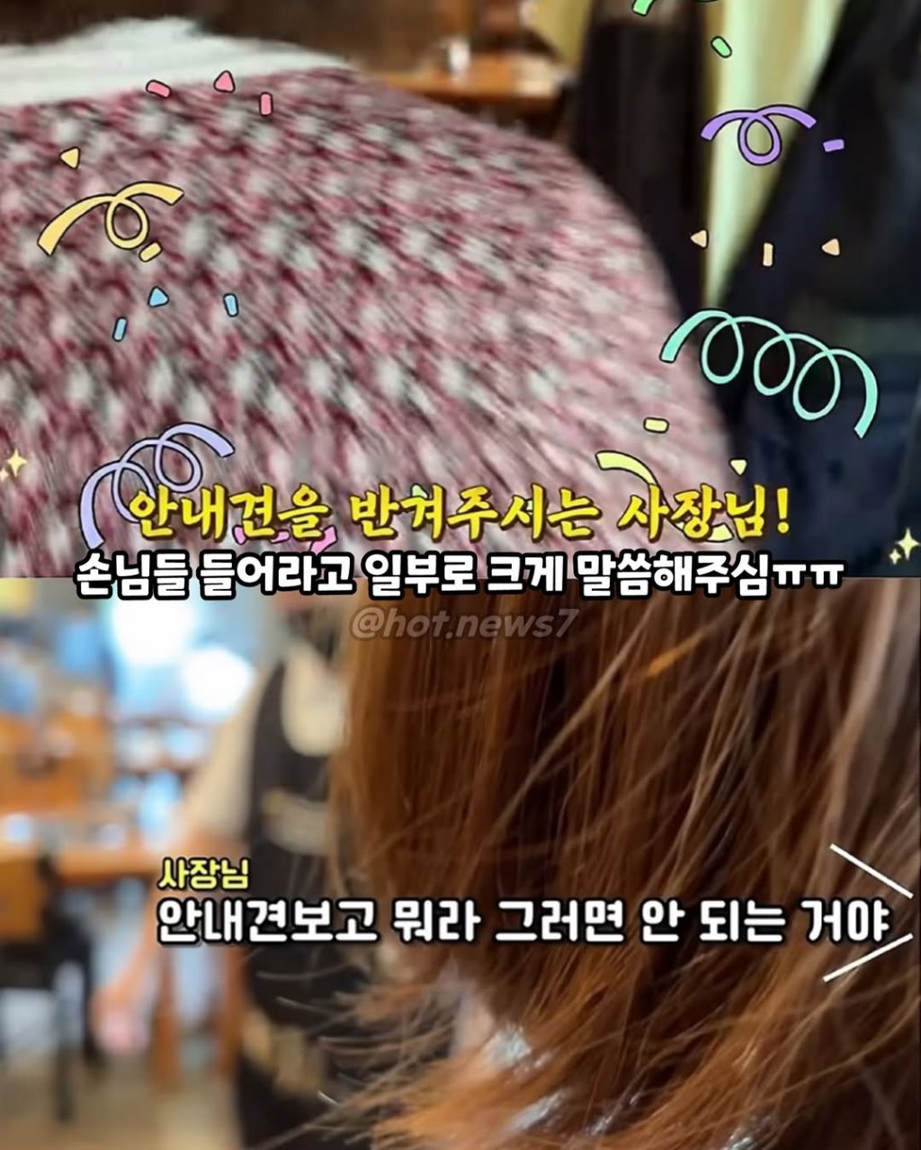 안내견보고 큰소리 내는 식당 | 인스티즈