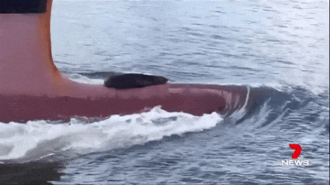 무임승차 레전드 | 인스티즈