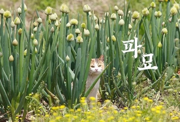 반박 불가 '파묘' 포스터 | 인스티즈